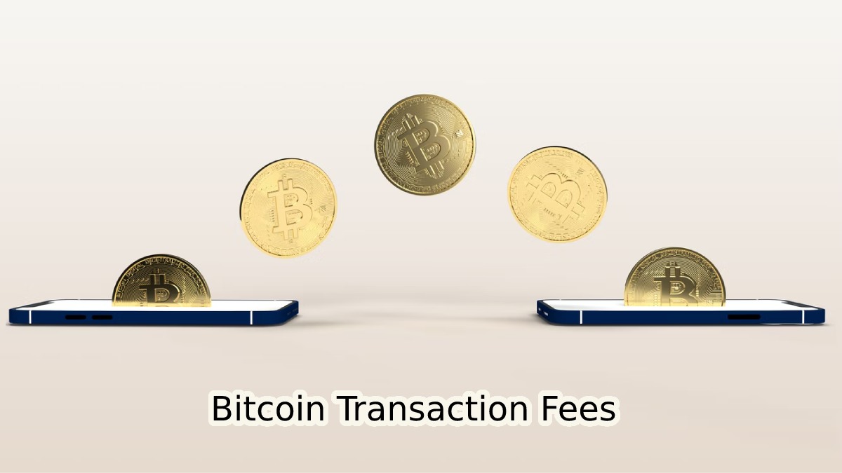Bitcoin Transaction Fees Register Unusually Low Values