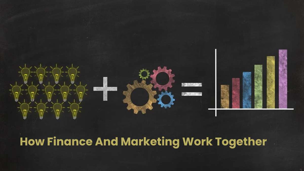 How Marketing and Finance Coexist