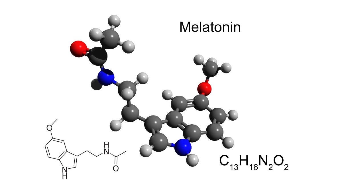 Which Foods Rich in Melatonin
