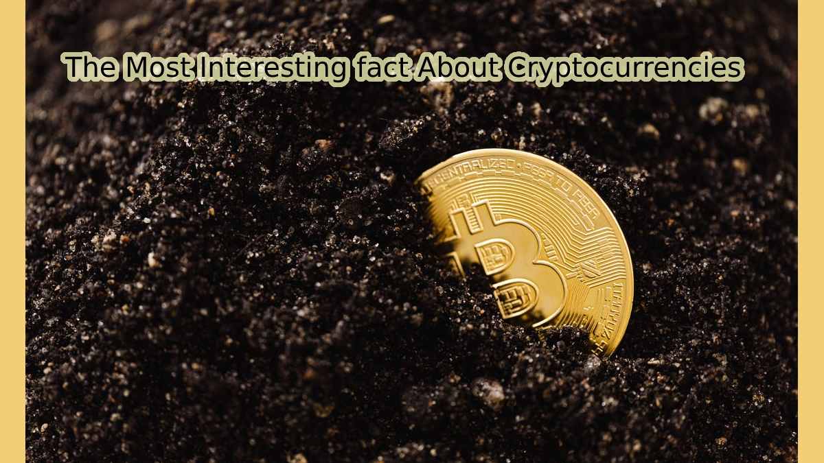 The Most Interesting fact About Cryptocurrencies is Not Their Price, But Their Use