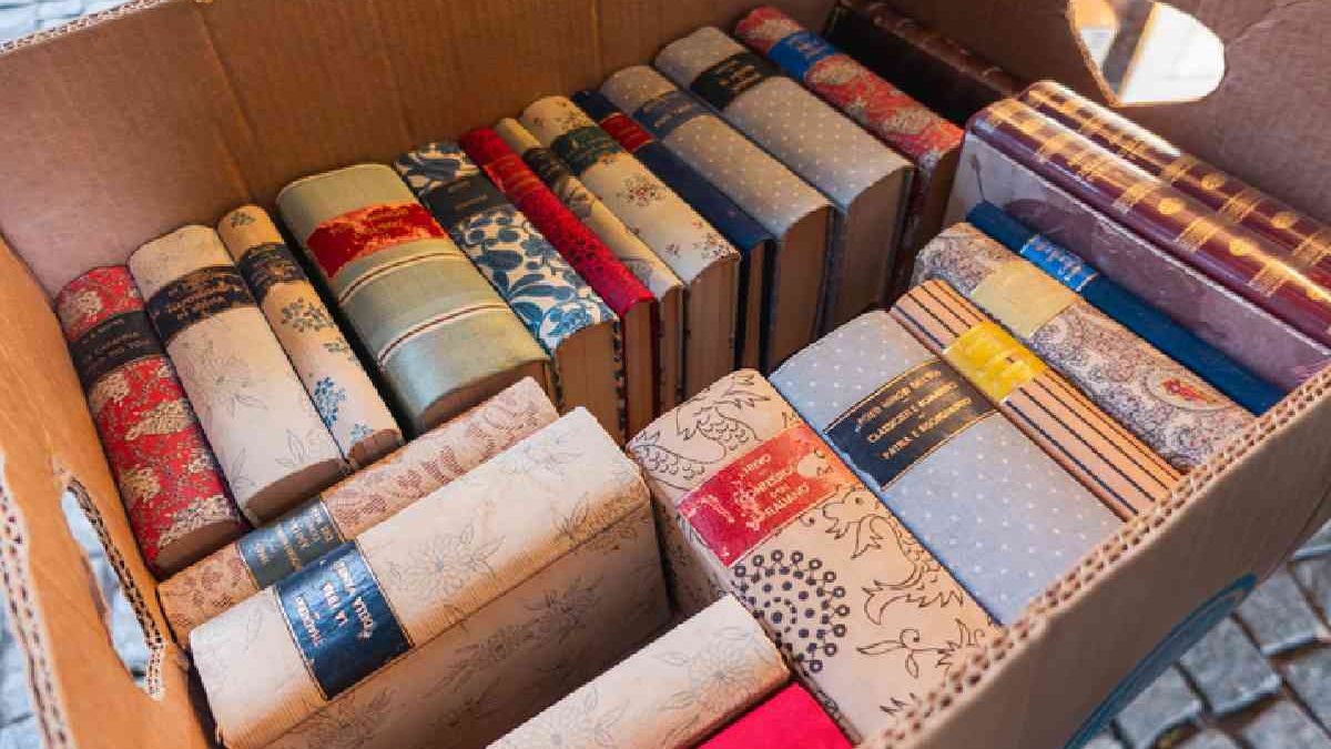Mastering the Art of Packing and Moving a Book Collection with International Movers